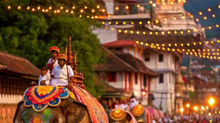 Esala Perahera: Kandy, Culture and the Elephants